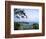 View from Mountain of St. Georges, Grenada, Caribbean-Bill Bachmann-Framed Photographic Print