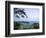 View from Mountain of St. Georges, Grenada, Caribbean-Bill Bachmann-Framed Photographic Print