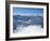 View from Nebelhorn to Allgau Alps Near Oberstdorf, Bavaria, Germany, Europe-Hans Peter Merten-Framed Photographic Print