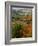 View from NH Route 145 in Stewartstown, New Hampshire, USA-Jerry & Marcy Monkman-Framed Photographic Print