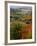 View from NH Route 145 in Stewartstown, New Hampshire, USA-Jerry & Marcy Monkman-Framed Photographic Print