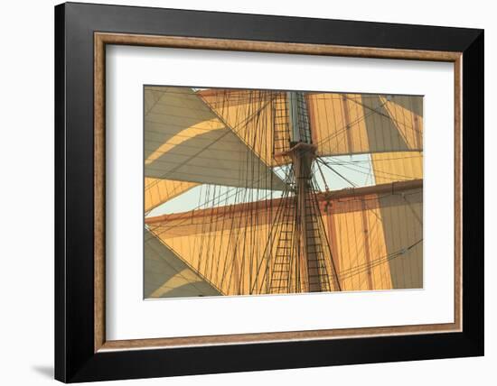 View from Odysseus, PR 90 foot sailing yacht, San Diego, California, USA-Stuart Westmorland-Framed Photographic Print