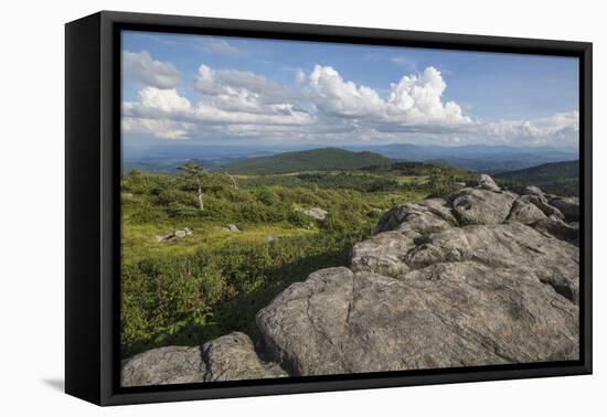 View from one of the many rocky summits of Grayson Highlands State Park, Virginia, United States of-Jon Reaves-Framed Premier Image Canvas