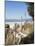 View from Palisades Down to Beach, Santa Monica Beach, Santa Monica, California, USA-Ethel Davies-Mounted Photographic Print