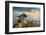 View from Ponta Do Pai Vitorio during Sunrise in Rasa Beach, Armacao Dos Buzios, Rio De Janeiro, Br-Vitor Marigo-Framed Photographic Print