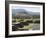 View from Pyramid of the Moon of the Avenue of the Dead and the Pyramid of the Sun Beyond-R H Productions-Framed Photographic Print