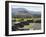 View from Pyramid of the Moon of the Avenue of the Dead and the Pyramid of the Sun Beyond-R H Productions-Framed Photographic Print