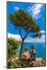 View from Ravello, Amalfi Coast (Costiera Amalfitana), UNESCO World Heritage Site, Campania, Italy-Neil Farrin-Mounted Photographic Print