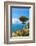 View from Ravello, Amalfi Coast (Costiera Amalfitana), UNESCO World Heritage Site, Campania, Italy-Neil Farrin-Framed Photographic Print