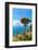 View from Ravello, Amalfi Coast (Costiera Amalfitana), UNESCO World Heritage Site, Campania, Italy-Neil Farrin-Framed Photographic Print