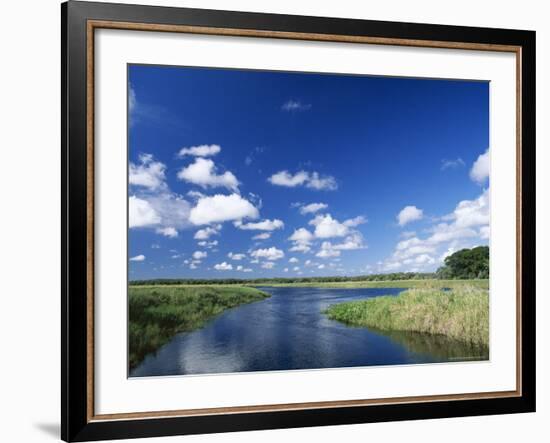 View from Riverbank of White Clouds and Blue Sky, Myakka River State Park, Near Sarasota, USA-Ruth Tomlinson-Framed Photographic Print