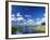 View from Riverbank of White Clouds and Blue Sky, Myakka River State Park, Near Sarasota, USA-Ruth Tomlinson-Framed Photographic Print