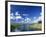 View from Riverbank of White Clouds and Blue Sky, Myakka River State Park, Near Sarasota, USA-Ruth Tomlinson-Framed Photographic Print