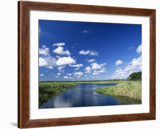 View from Riverbank of White Clouds and Blue Sky, Myakka River State Park, Near Sarasota, USA-Ruth Tomlinson-Framed Photographic Print