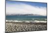 View from rocky shoreline across the stormy waters of Lake Pukaki, near Twizel, Mackenzie district,-Ruth Tomlinson-Mounted Photographic Print