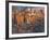 View From San Gimignano-Philip Craig-Framed Giclee Print