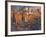 View From San Gimignano-Philip Craig-Framed Giclee Print