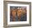 View From San Gimignano-Philip Craig-Framed Giclee Print