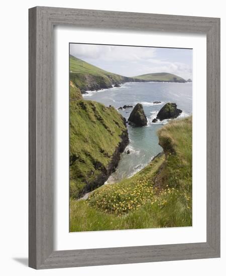 View From Slea Head Drive, Dingle Peninsula, County Kerry, Munster, Republic of Ireland-null-Framed Photographic Print