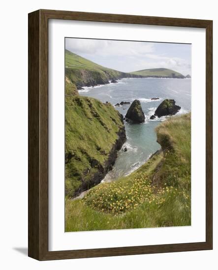 View From Slea Head Drive, Dingle Peninsula, County Kerry, Munster, Republic of Ireland-null-Framed Photographic Print