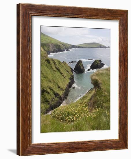 View From Slea Head Drive, Dingle Peninsula, County Kerry, Munster, Republic of Ireland-null-Framed Photographic Print