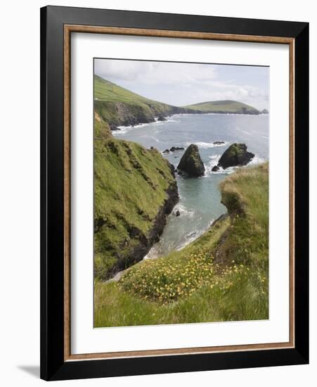 View From Slea Head Drive, Dingle Peninsula, County Kerry, Munster, Republic of Ireland-null-Framed Photographic Print