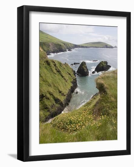 View From Slea Head Drive, Dingle Peninsula, County Kerry, Munster, Republic of Ireland-null-Framed Photographic Print
