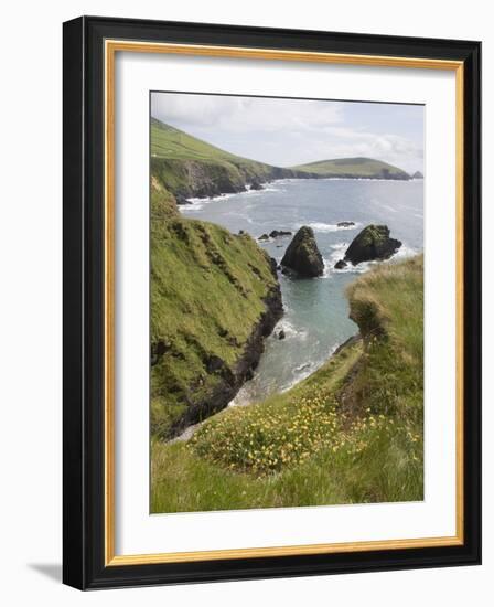 View From Slea Head Drive, Dingle Peninsula, County Kerry, Munster, Republic of Ireland-null-Framed Photographic Print