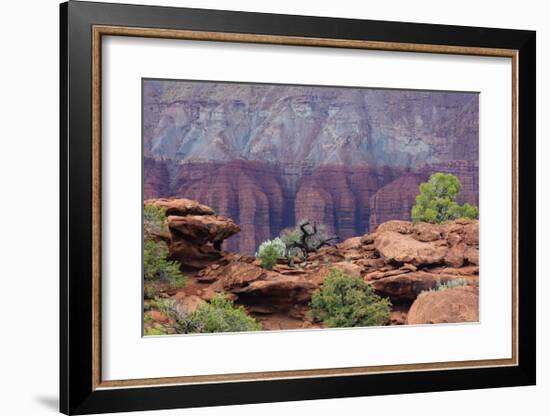 View from Sunset Point-Don Paulson-Framed Giclee Print