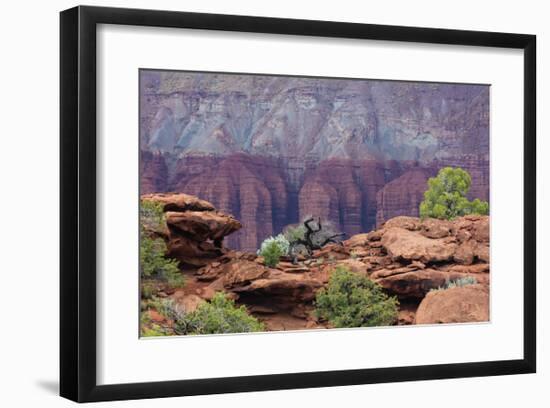 View from Sunset Point-Don Paulson-Framed Giclee Print