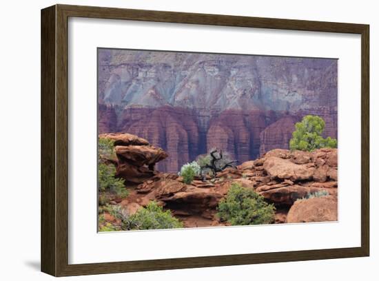 View from Sunset Point-Don Paulson-Framed Giclee Print