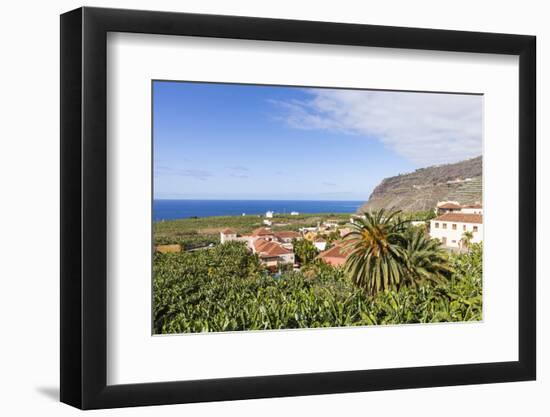 View from Tazacorte over Banana Plantations to the Sea, La Palma, Canary Islands, Spain, Europe-Gerhard Wild-Framed Photographic Print