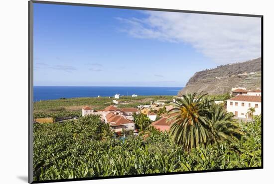 View from Tazacorte over Banana Plantations to the Sea, La Palma, Canary Islands, Spain, Europe-Gerhard Wild-Mounted Photographic Print