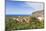 View from Tazacorte over Banana Plantations to the Sea, La Palma, Canary Islands, Spain, Europe-Gerhard Wild-Mounted Photographic Print