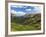 View from the Alpine Visitor Center, Rocky Mountain National Park, Colorado, USA-Michel Hersen-Framed Photographic Print
