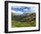 View from the Alpine Visitor Center, Rocky Mountain National Park, Colorado, USA-Michel Hersen-Framed Photographic Print