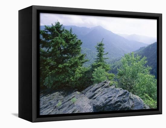 View from the Alum Cave Bluffs Trail in Great Smoky Mountains National Park, Tennessee, USA-Robert Francis-Framed Premier Image Canvas