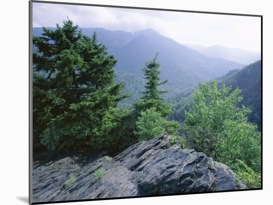 View from the Alum Cave Bluffs Trail in Great Smoky Mountains National Park, Tennessee, USA-Robert Francis-Mounted Photographic Print