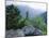 View from the Alum Cave Bluffs Trail in Great Smoky Mountains National Park, Tennessee, USA-Robert Francis-Mounted Photographic Print