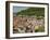 View from the Castle of the Old City, and the River Neckar, Heidelberg, Baden-Wurttemberg, Germany-James Emmerson-Framed Photographic Print