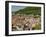 View from the Castle of the Old City, and the River Neckar, Heidelberg, Baden-Wurttemberg, Germany-James Emmerson-Framed Photographic Print