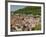 View from the Castle of the Old City, and the River Neckar, Heidelberg, Baden-Wurttemberg, Germany-James Emmerson-Framed Photographic Print