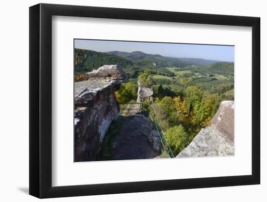 View from the Castle Ruin Drachenfels, Autumn, Palatinate Forest, Rhineland-Palatinate, Germany-Ronald Wittek-Framed Photographic Print