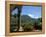 View from the Cloisters, Certosa Di Pesio, Piedmont, Italy-Sheila Terry-Framed Premier Image Canvas