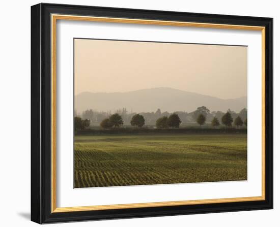 View from the Cotswold Way Footpath, Stanway Village, the Cotswolds, Gloucestershire, England-David Hughes-Framed Photographic Print