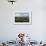 View from the Daraga Church to the Volcano of Mount Mayon, Legaspi, Southern Luzon, Philippines-Michael Runkel-Framed Photographic Print displayed on a wall