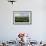 View from the Daraga Church to the Volcano of Mount Mayon, Legaspi, Southern Luzon, Philippines-Michael Runkel-Framed Photographic Print displayed on a wall