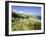 View from the Devon Coast Path at Prawle Point, South Hams, Devon, England, United Kingdom-David Hughes-Framed Photographic Print