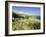 View from the Devon Coast Path at Prawle Point, South Hams, Devon, England, United Kingdom-David Hughes-Framed Photographic Print