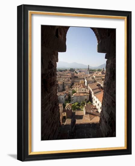 View from the Giunigi Tower, Lucca, Tuscany, Italy, Europe-Oliviero Olivieri-Framed Photographic Print